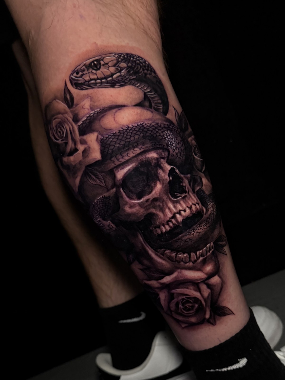 Skull & Snake