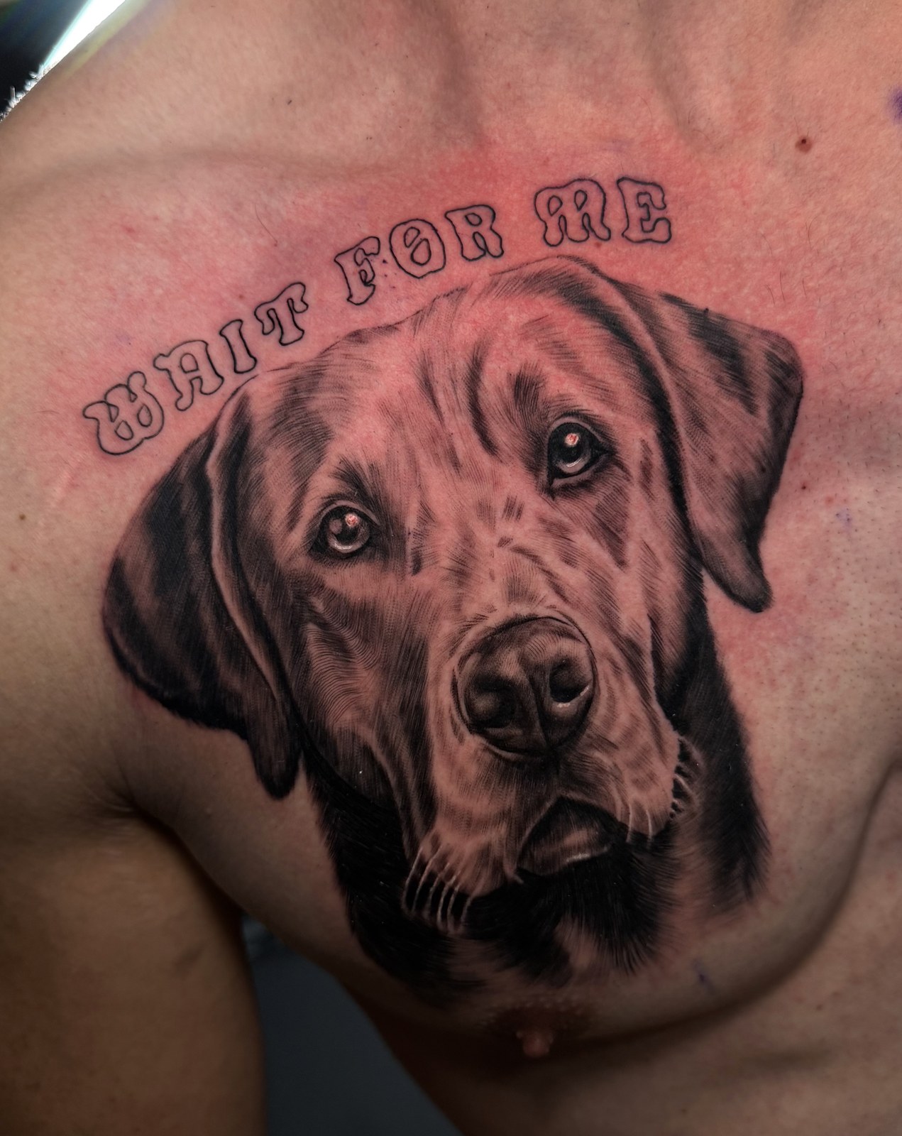 Family Pet Memorial